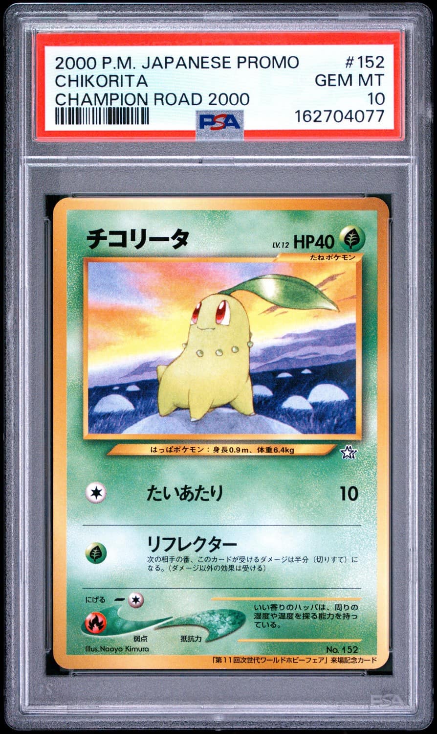 Chikorita