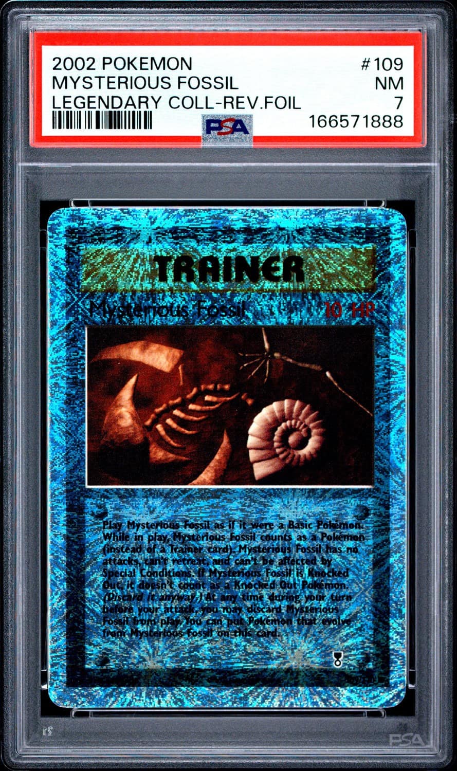 Mysterious Fossil