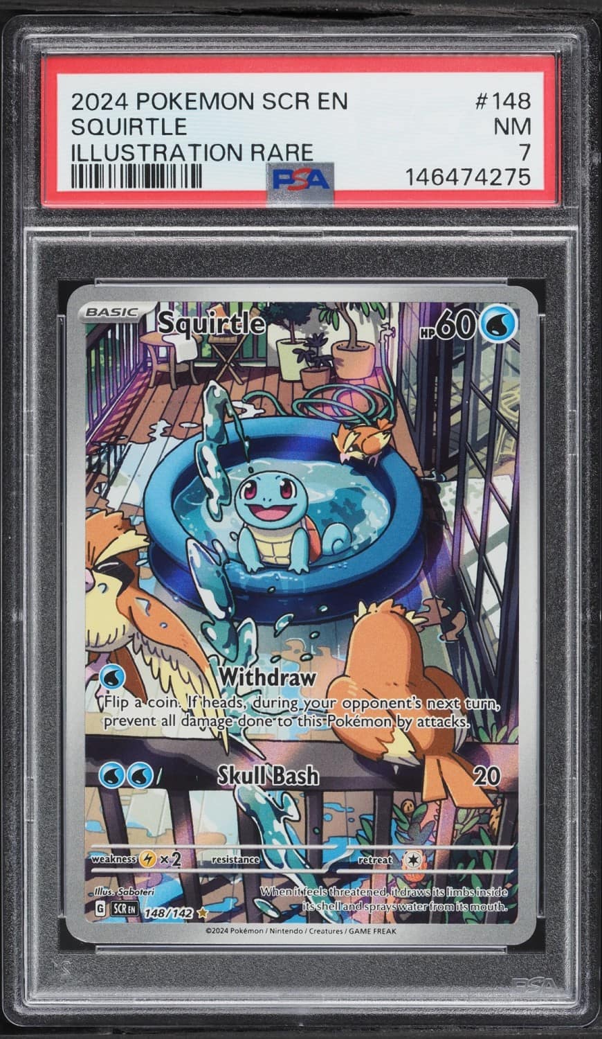 Squirtle
