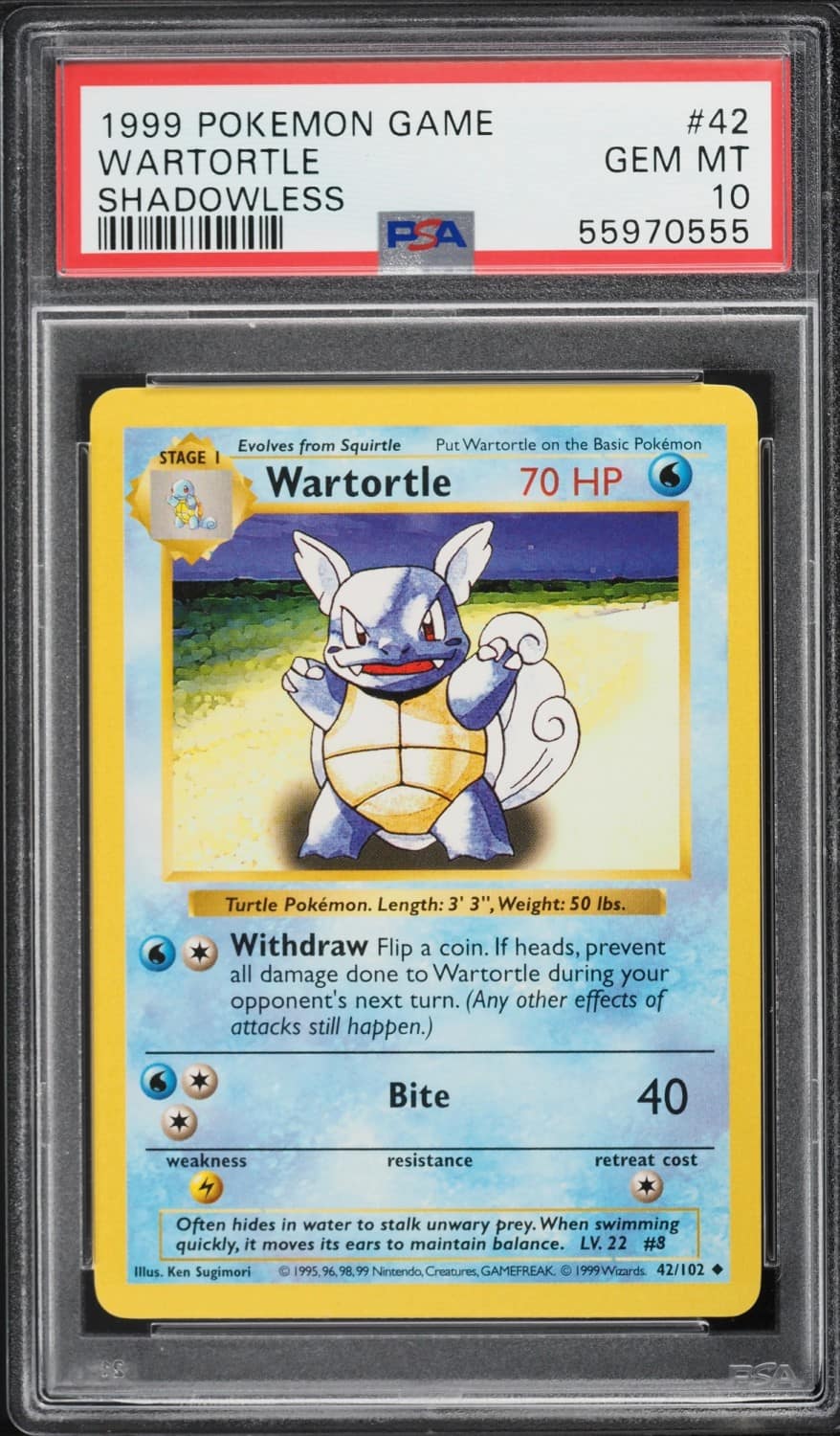 Wartortle