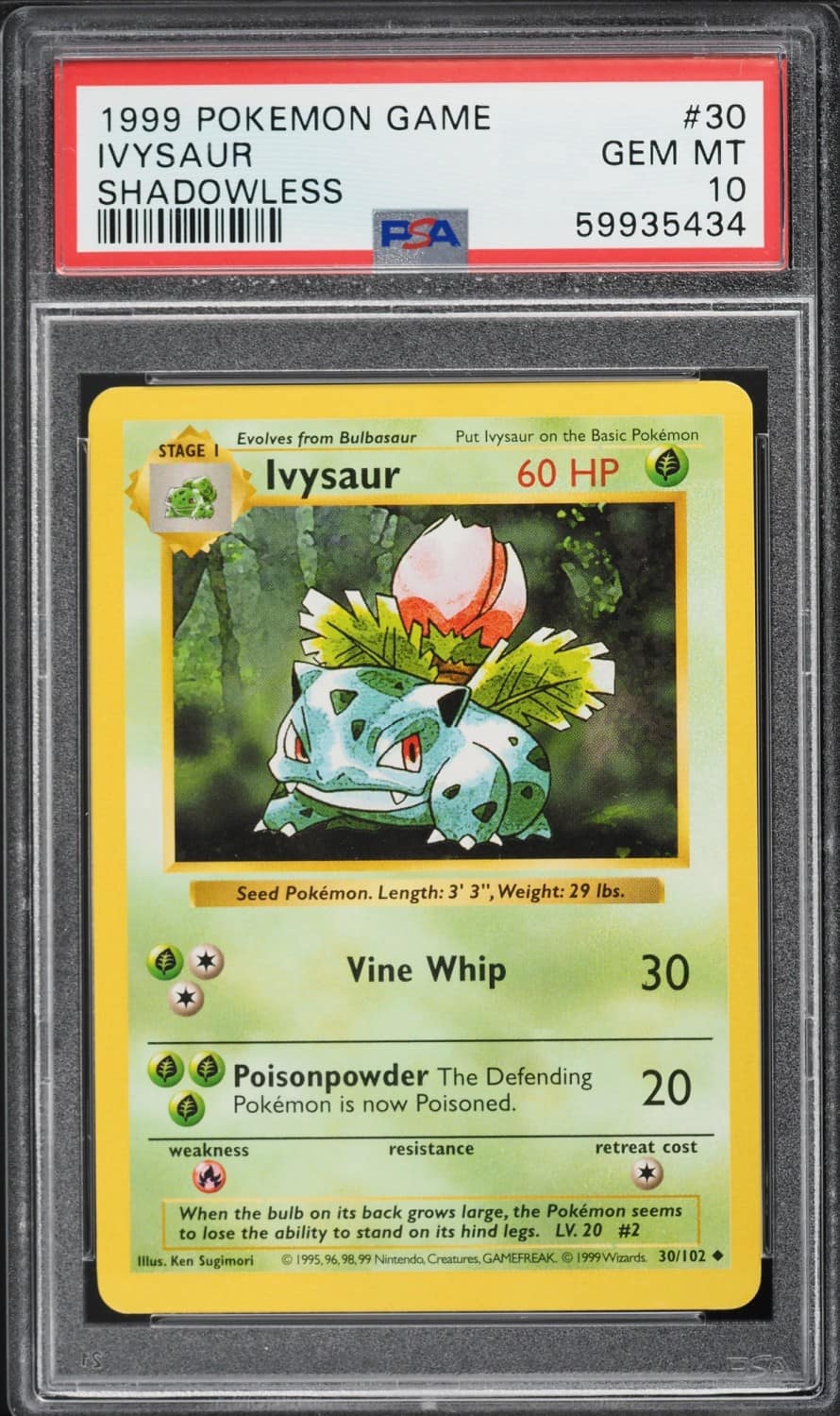 Ivysaur