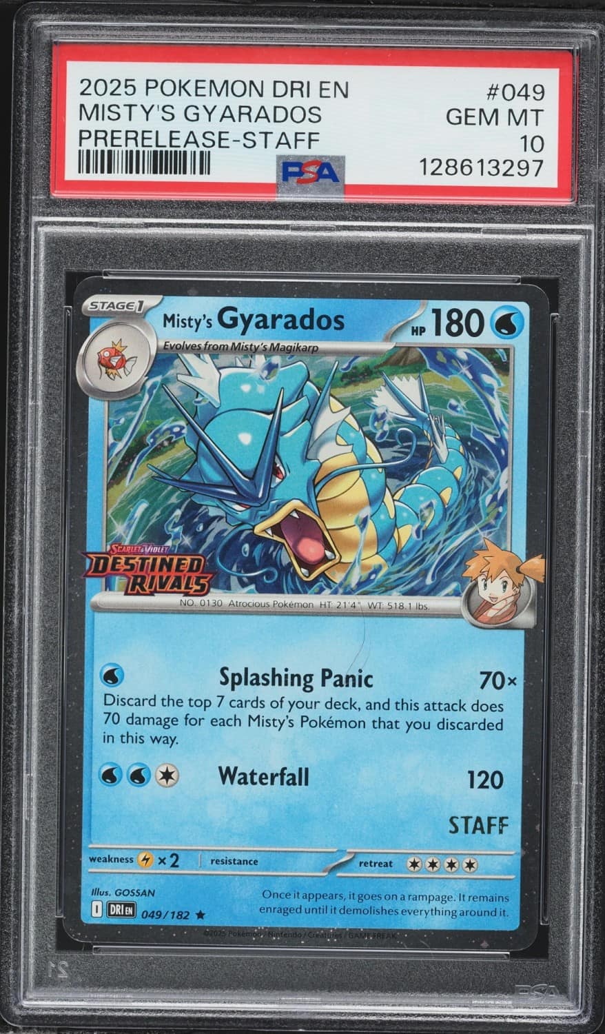 Misty'S Gyarados