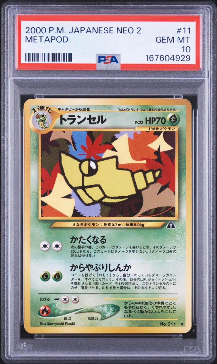 Metapod