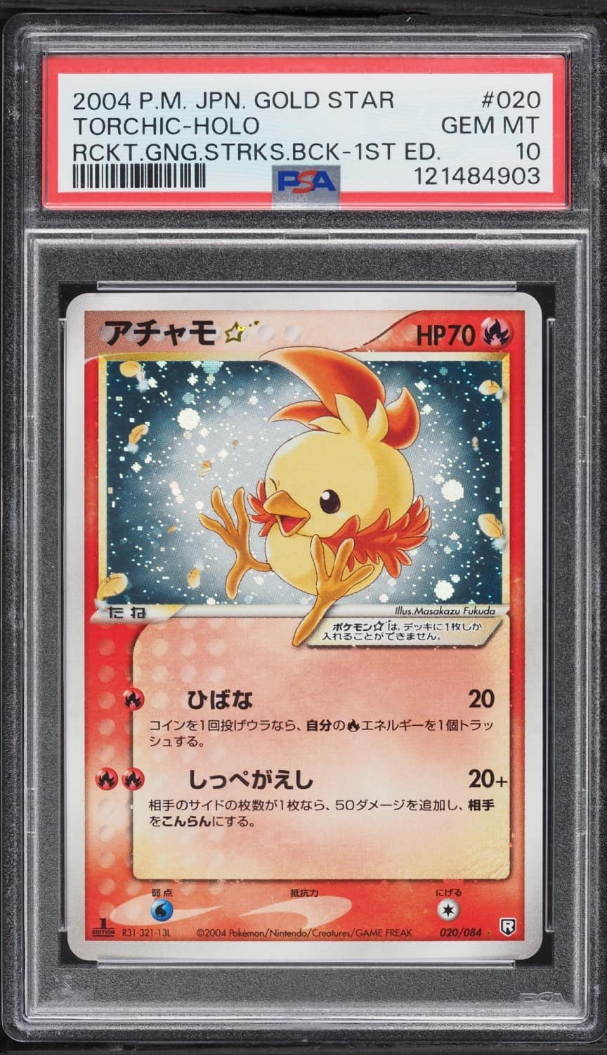 Torchic