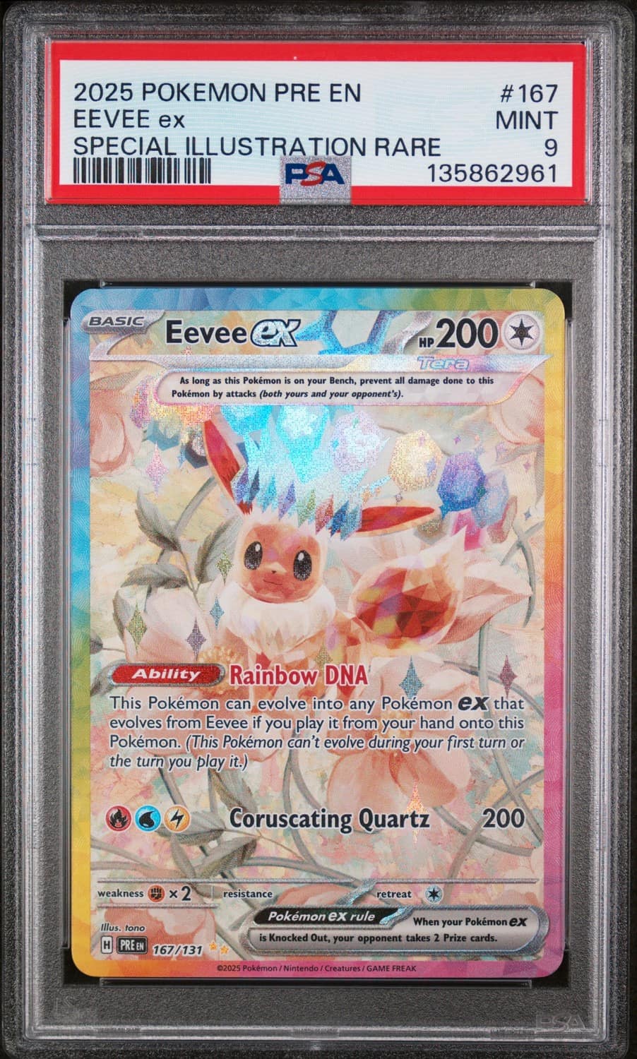 Eevee Ex