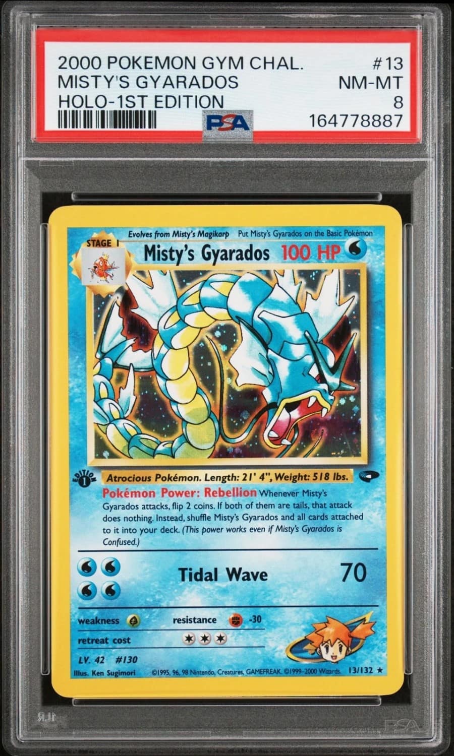 Misty'S Gyarados