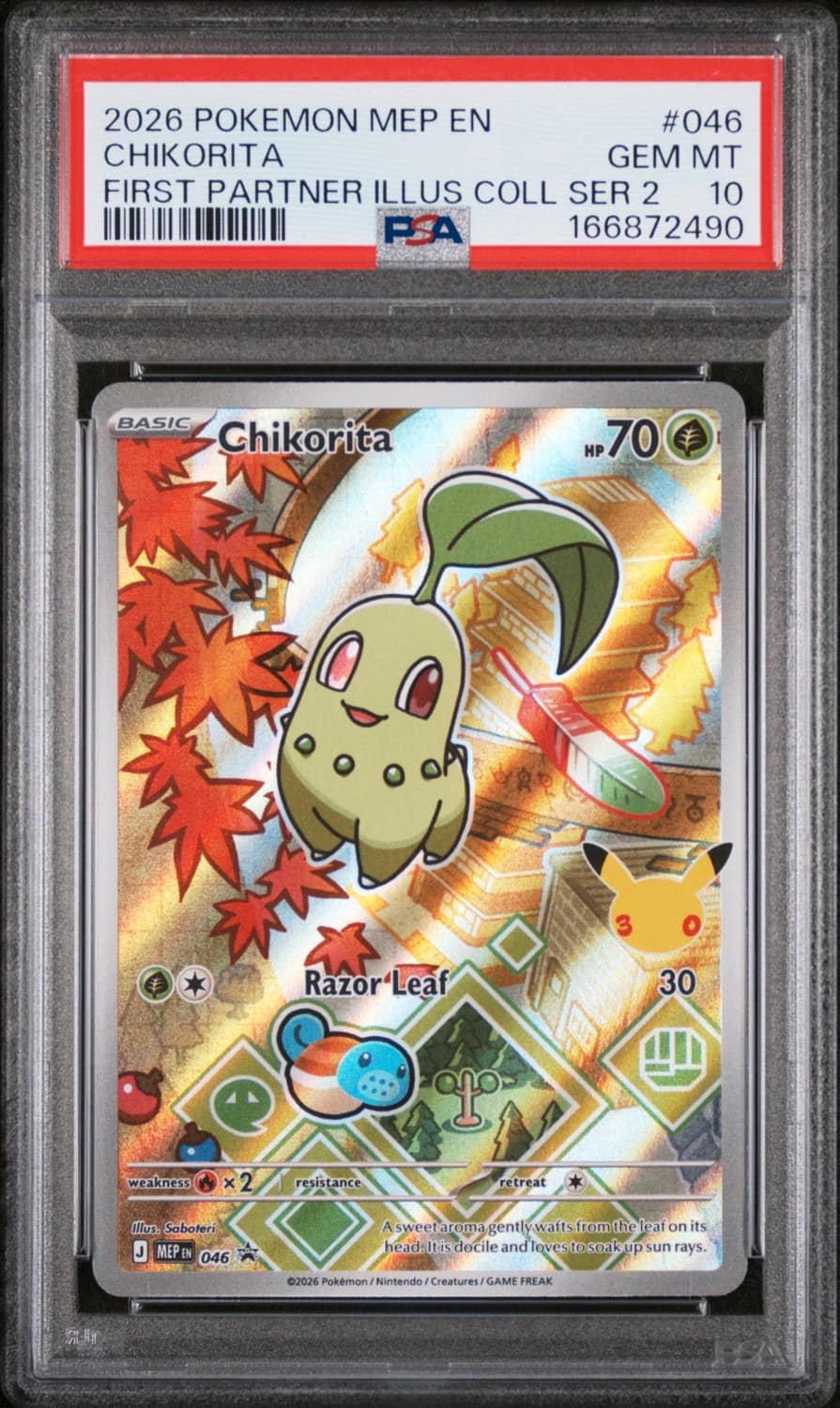 Chikorita