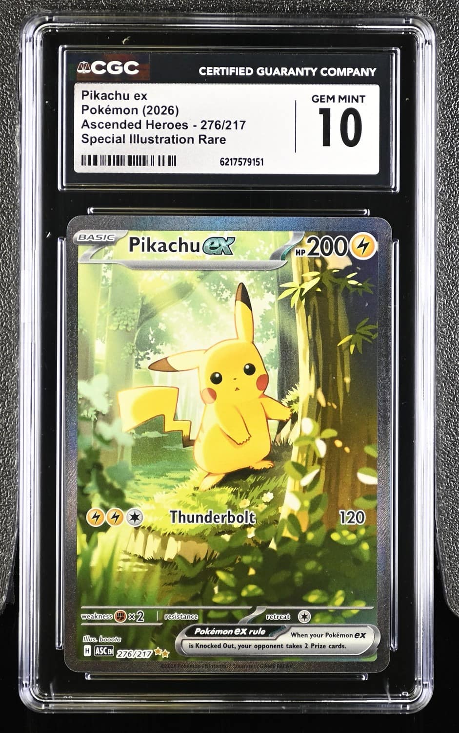 Pikachu Ex