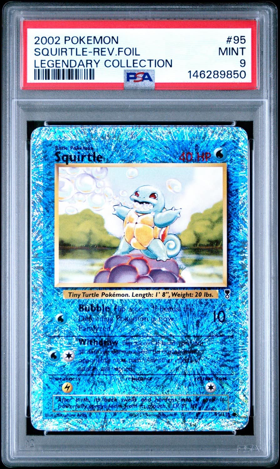Squirtle