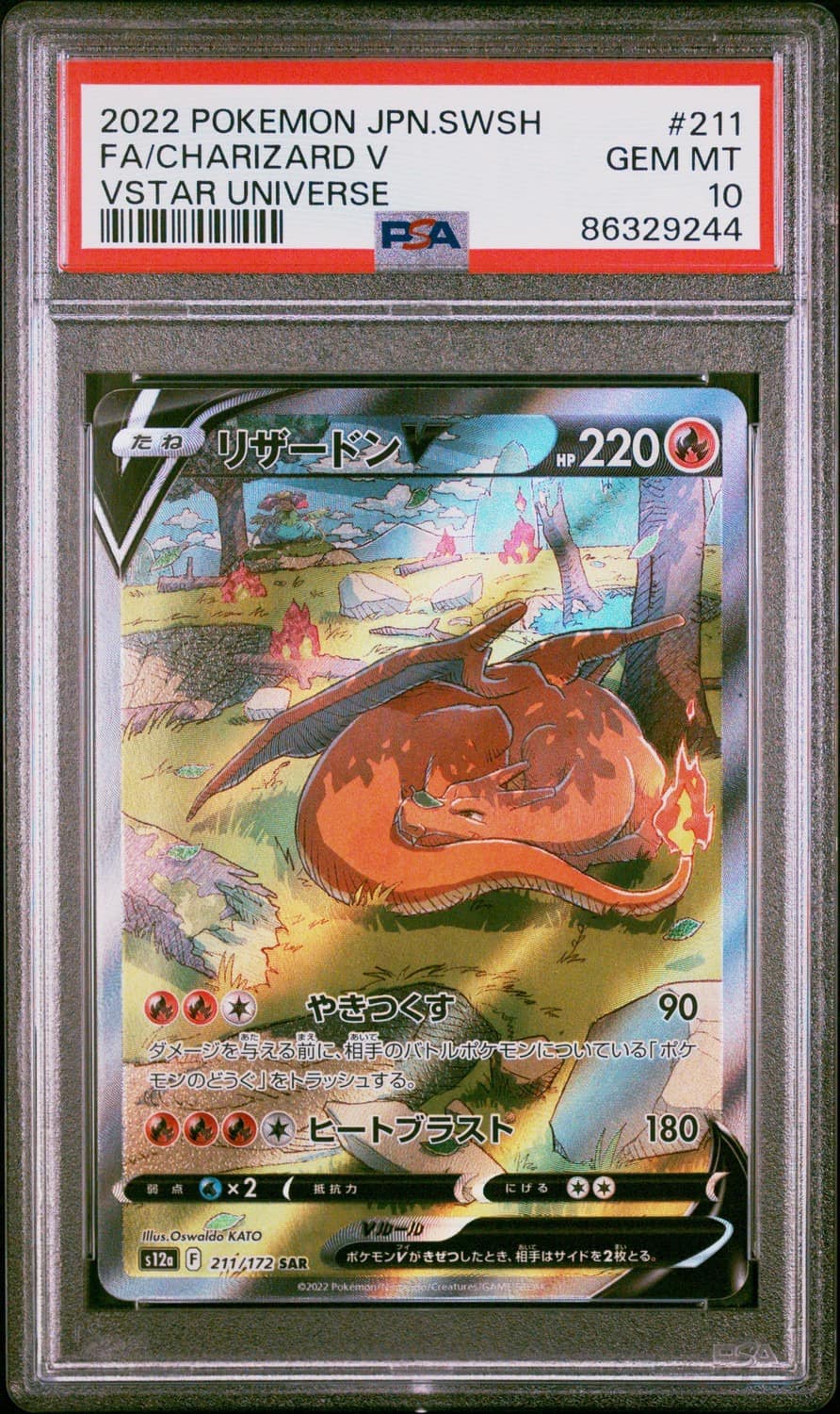 Charizard V