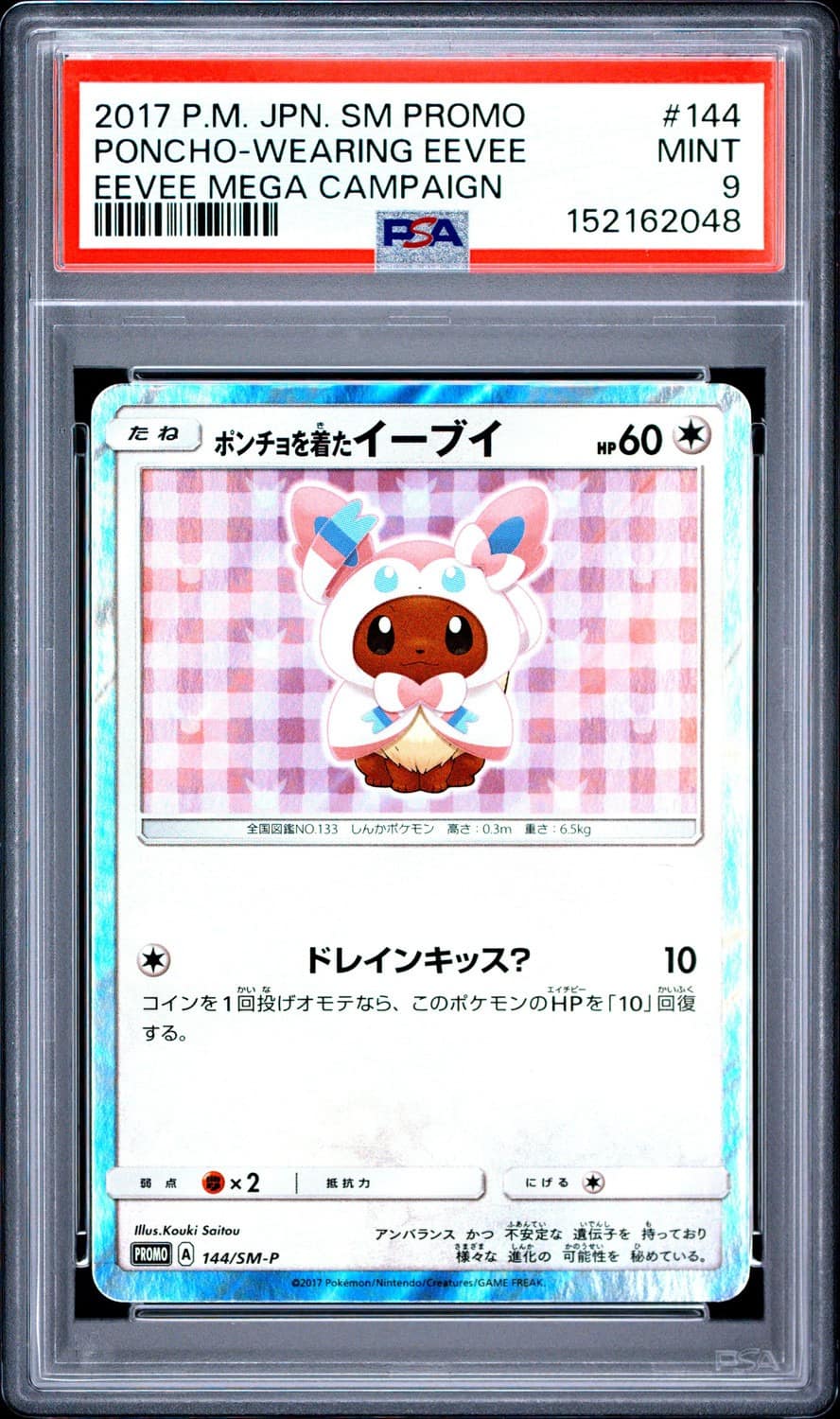 Poncho-Wearing Eevee