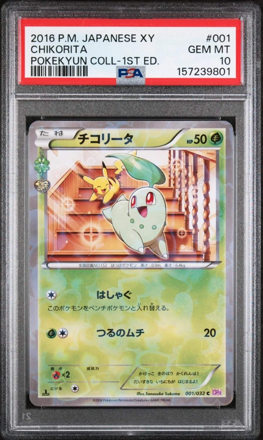 Chikorita