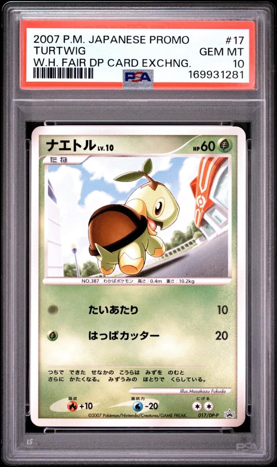 Turtwig