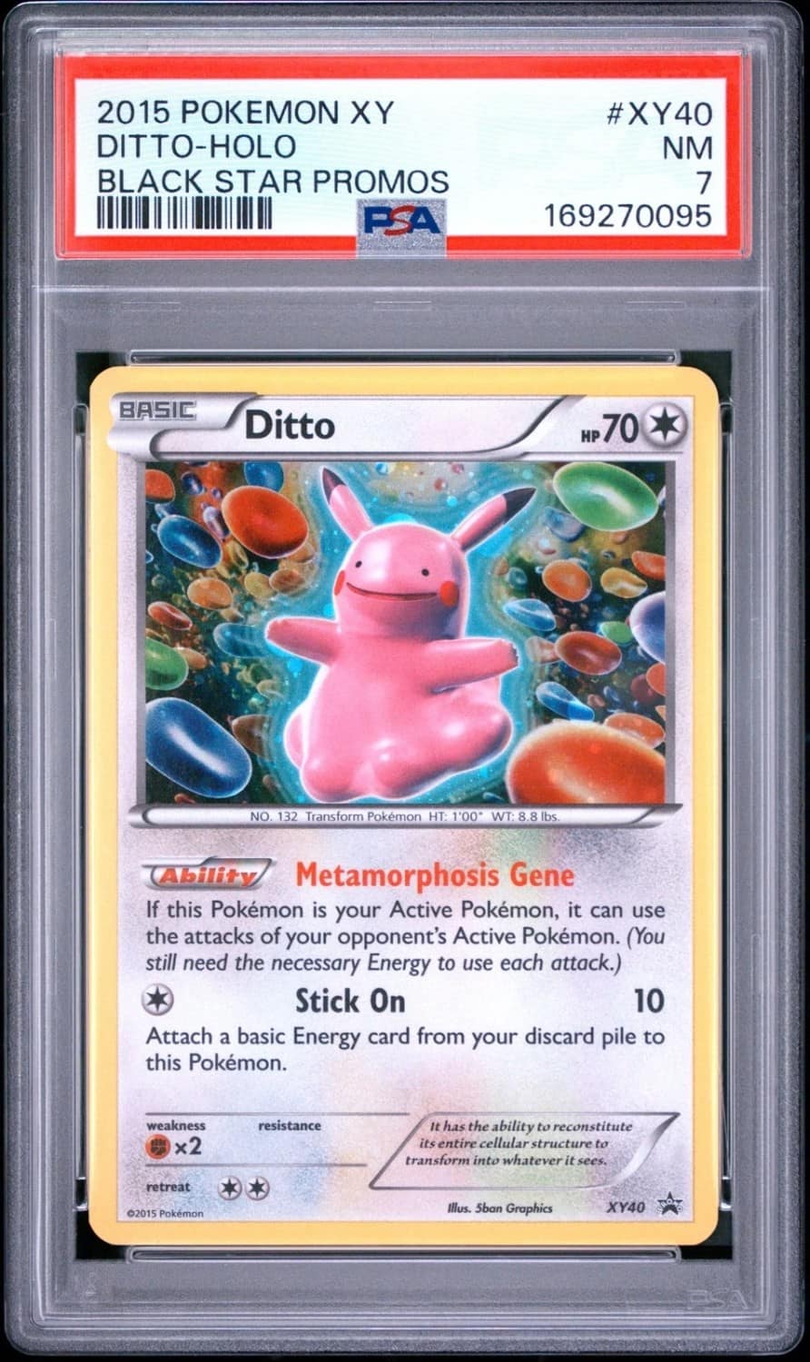 Ditto