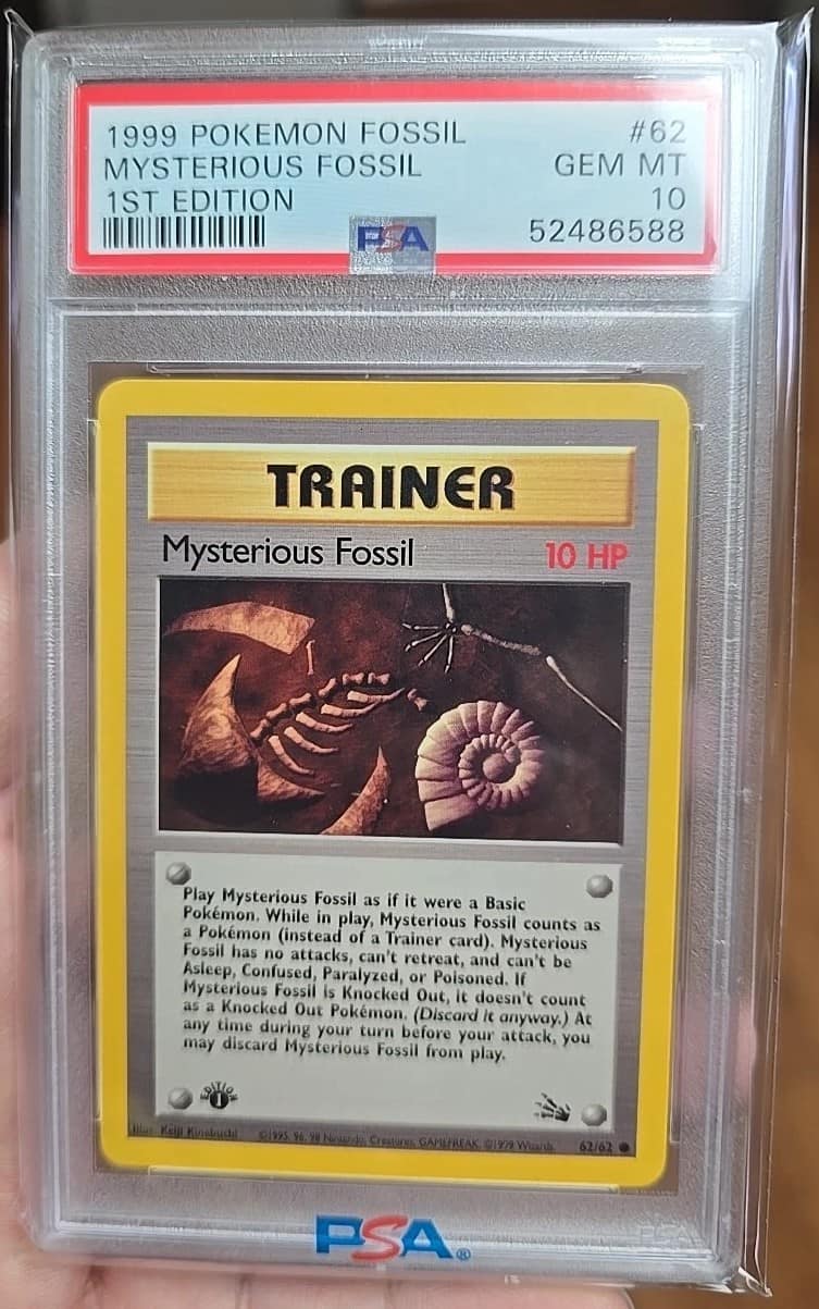 Mysterious Fossil