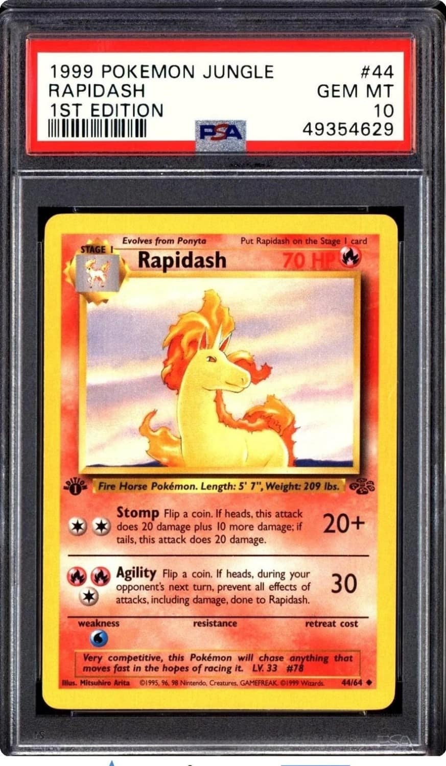 Rapidash