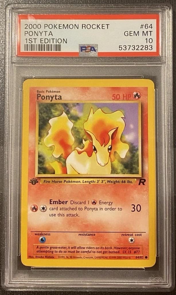 Ponyta