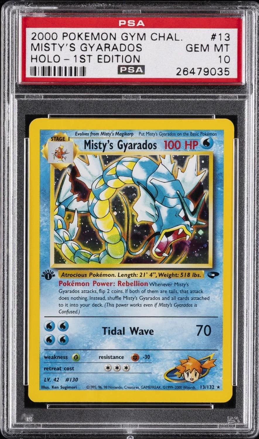 Misty'S Gyarados