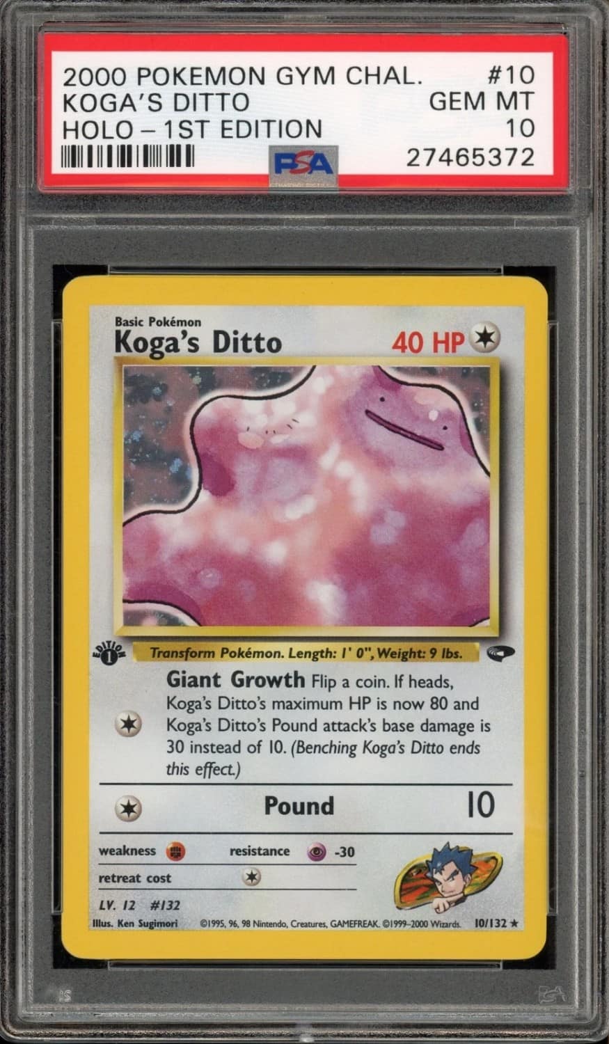Koga'S Ditto