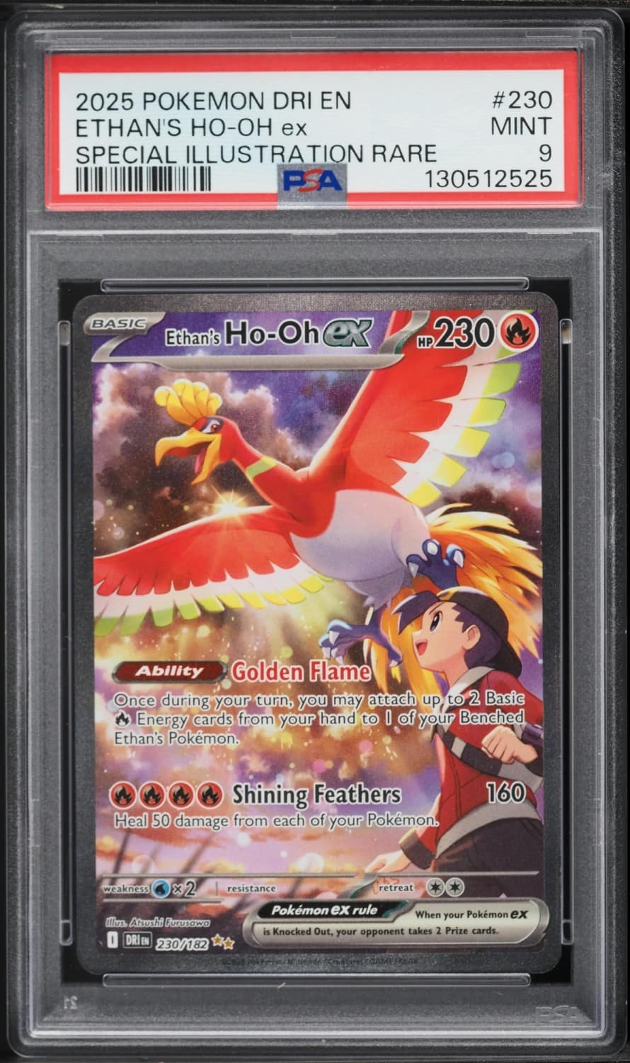 Ethan'S Ho-Oh Ex