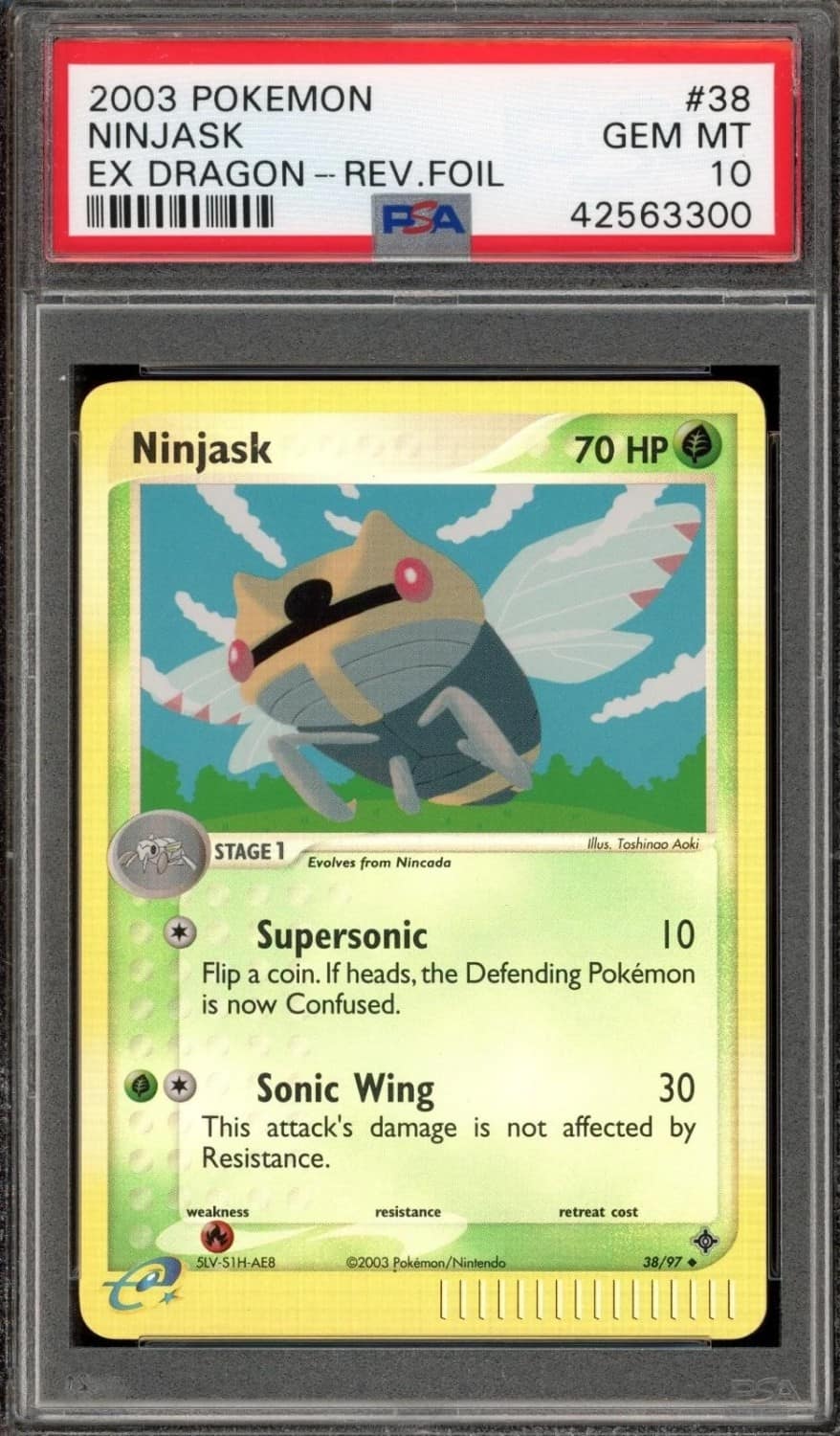 Ninjask