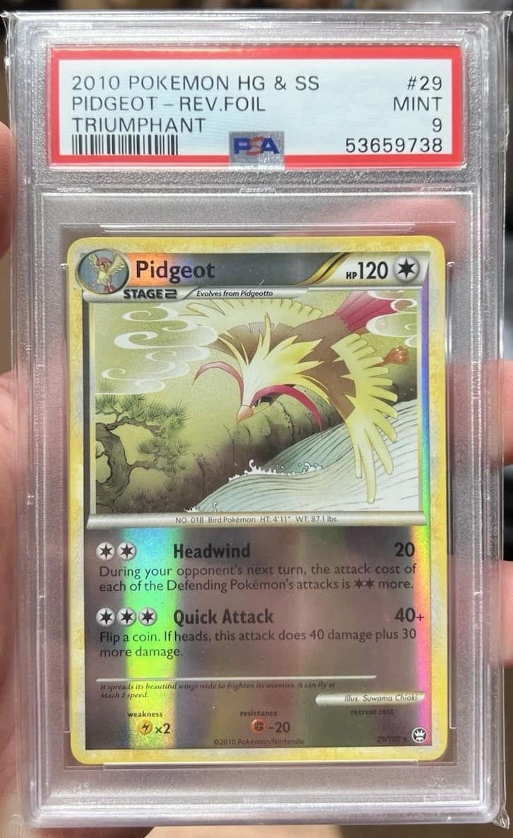 Pidgeot