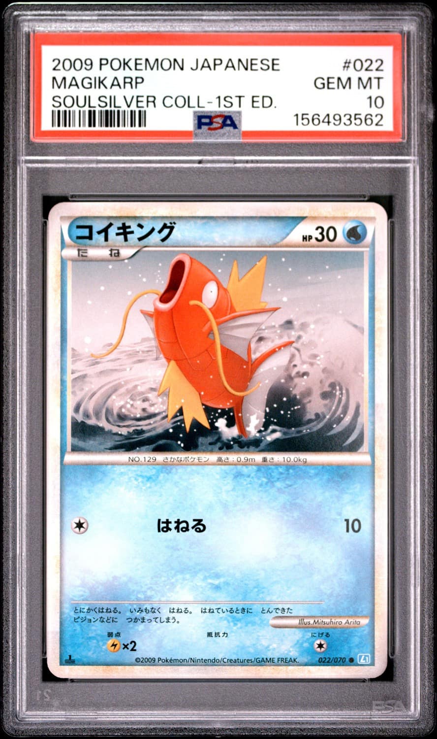 Magikarp
