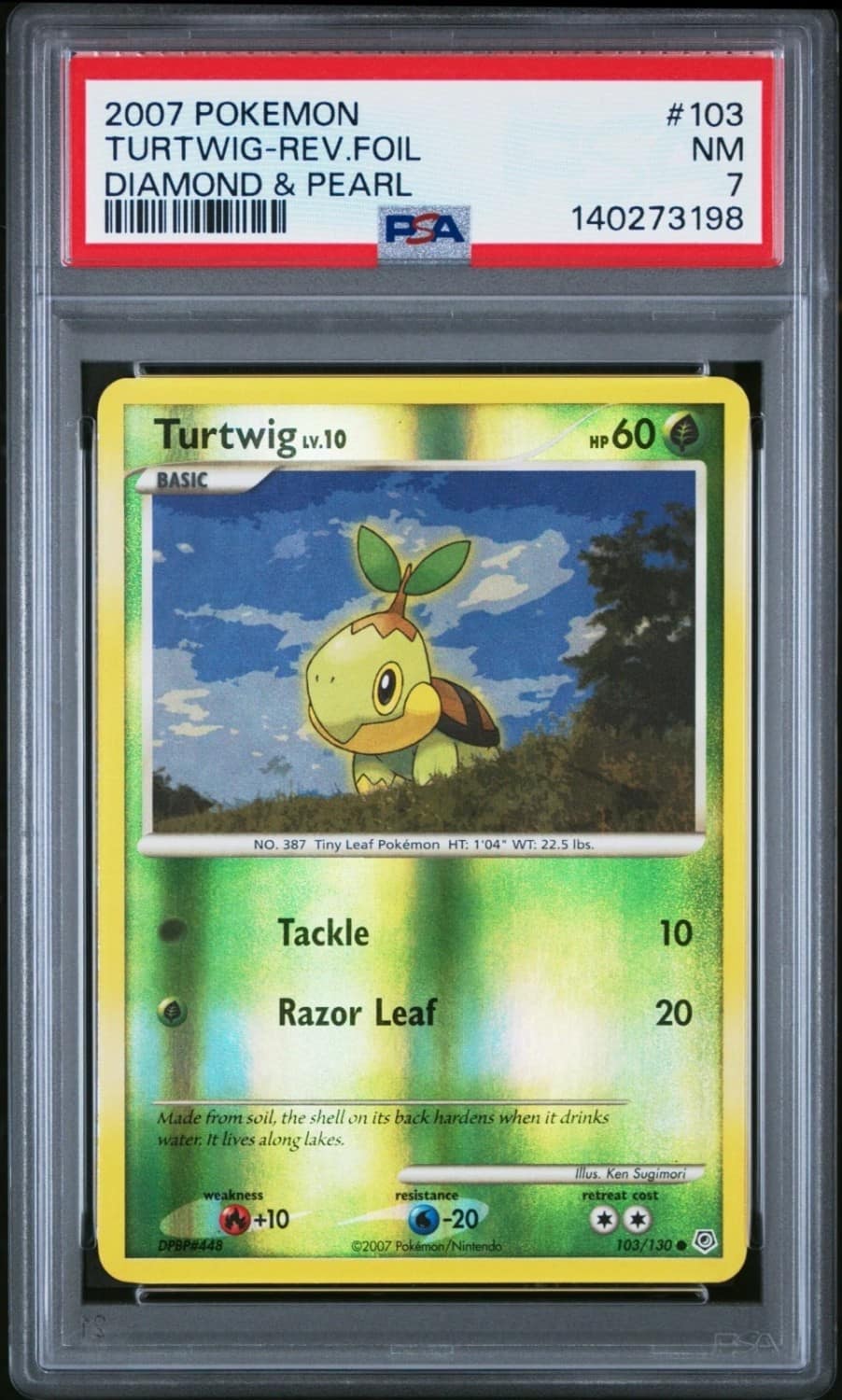 Turtwig