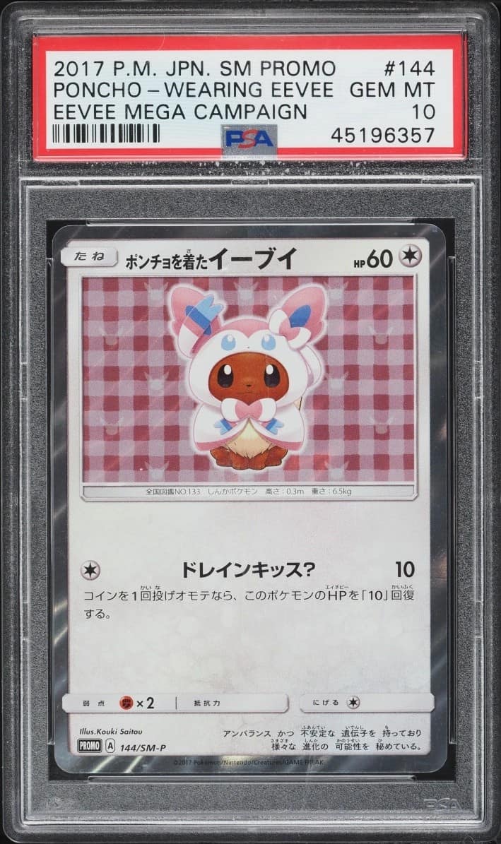 Poncho-Wearing Eevee