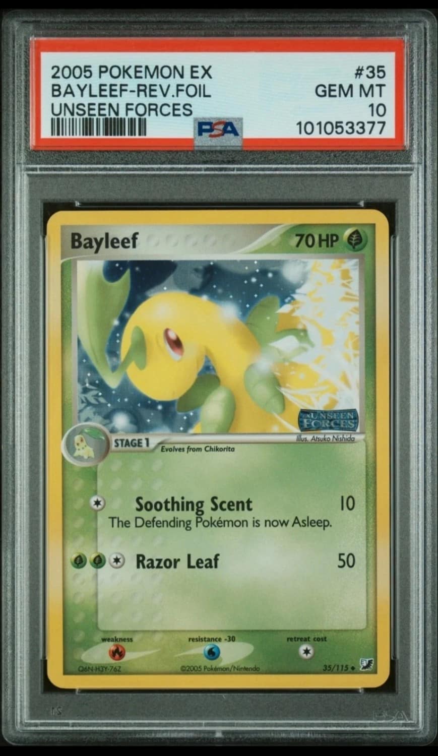 Bayleef