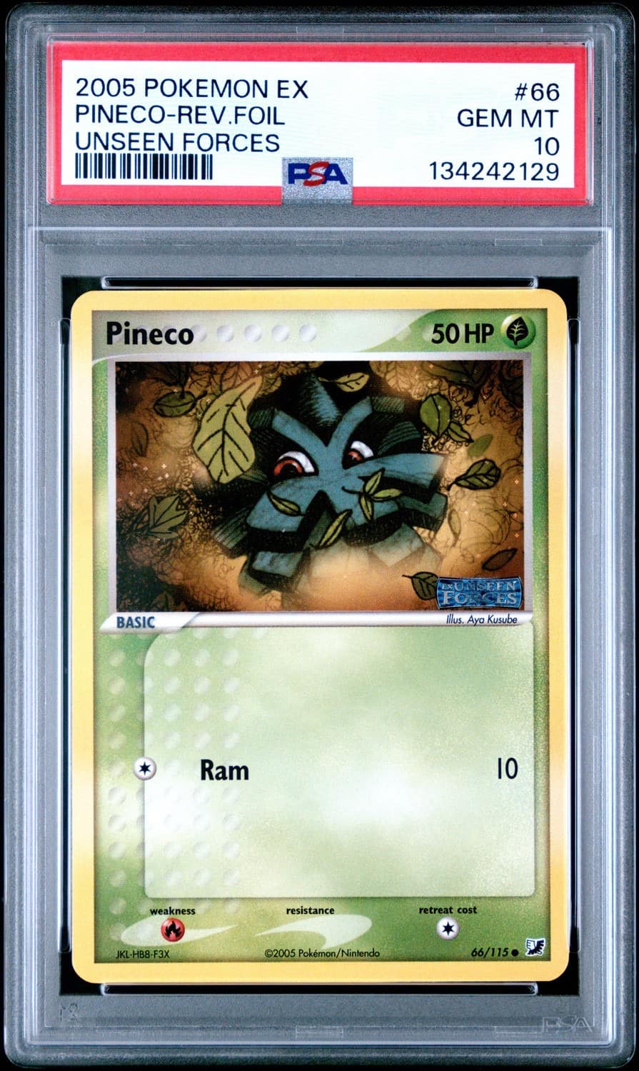 Pineco