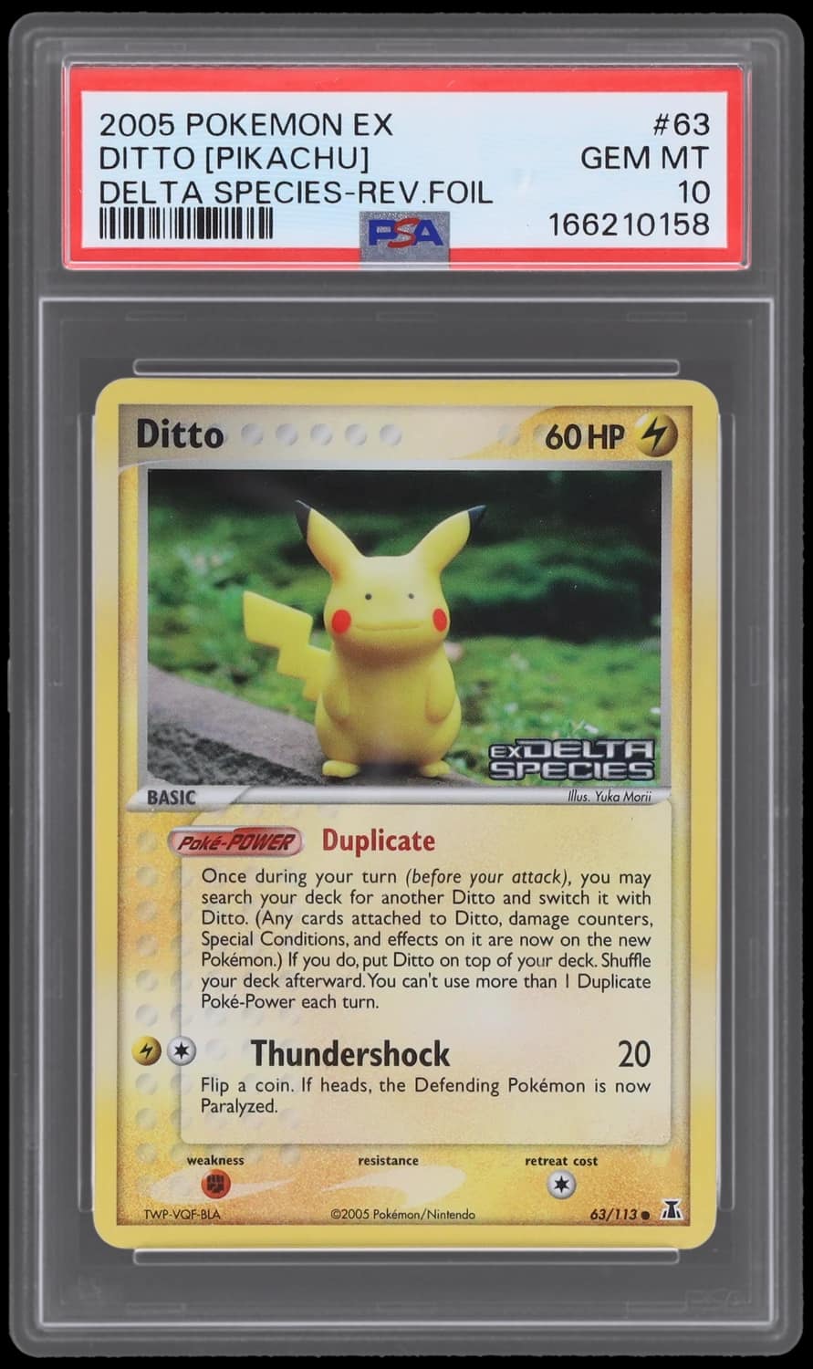 Ditto [pikachu]
