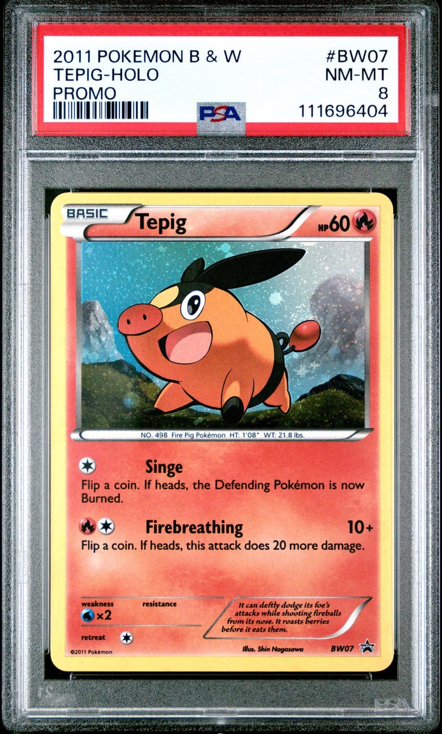 Tepig