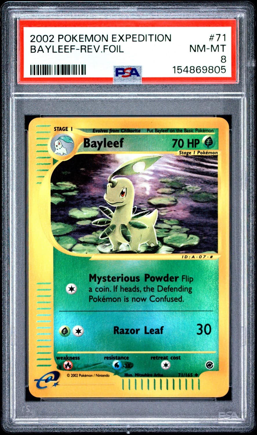 Bayleef