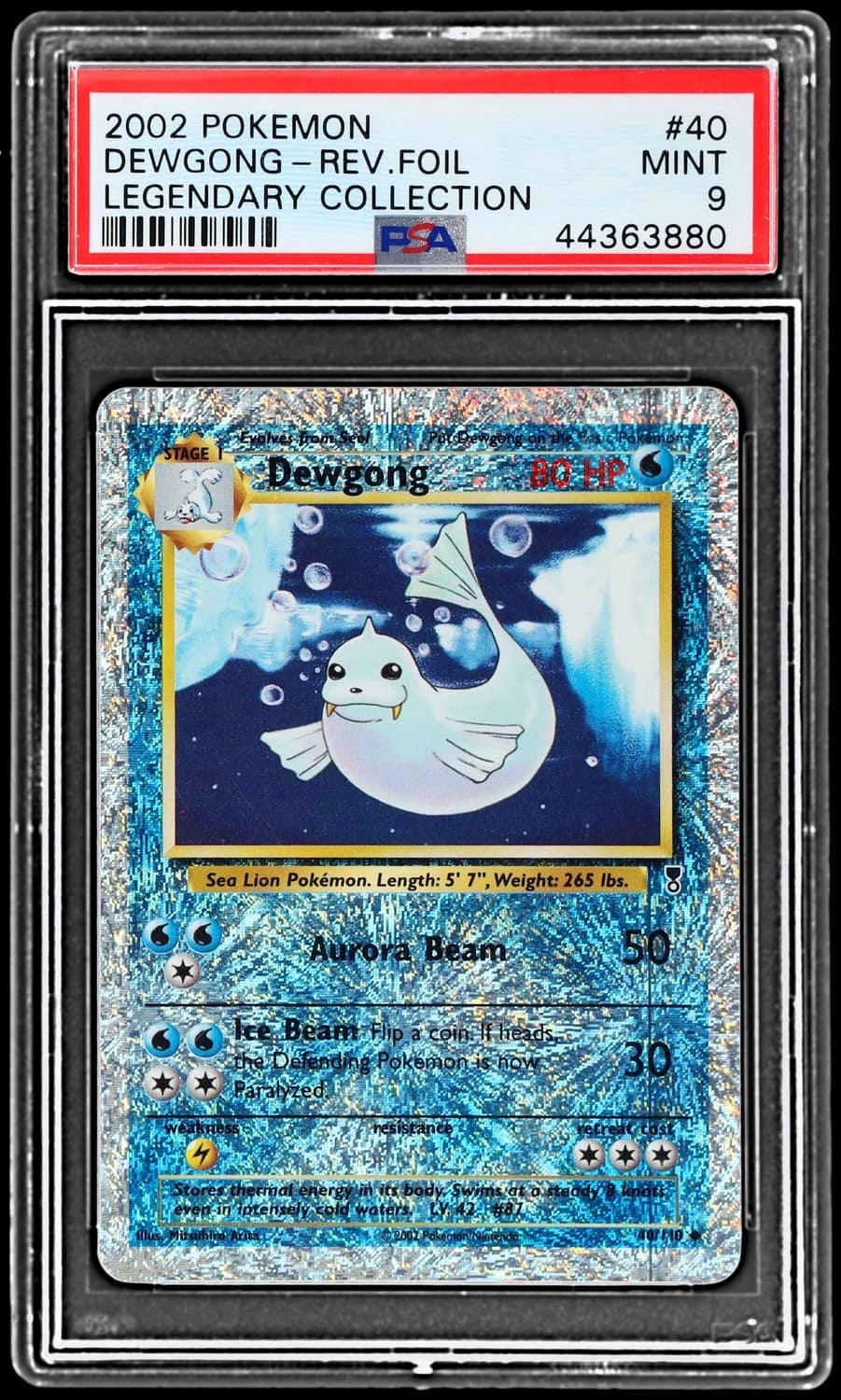 Dewgong