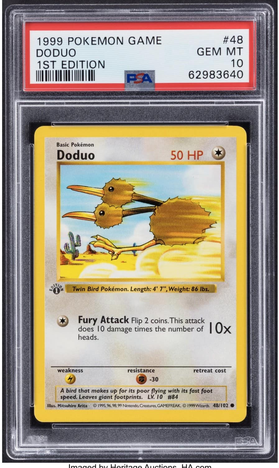 Doduo