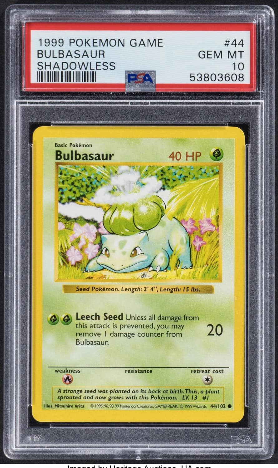 Bulbasaur