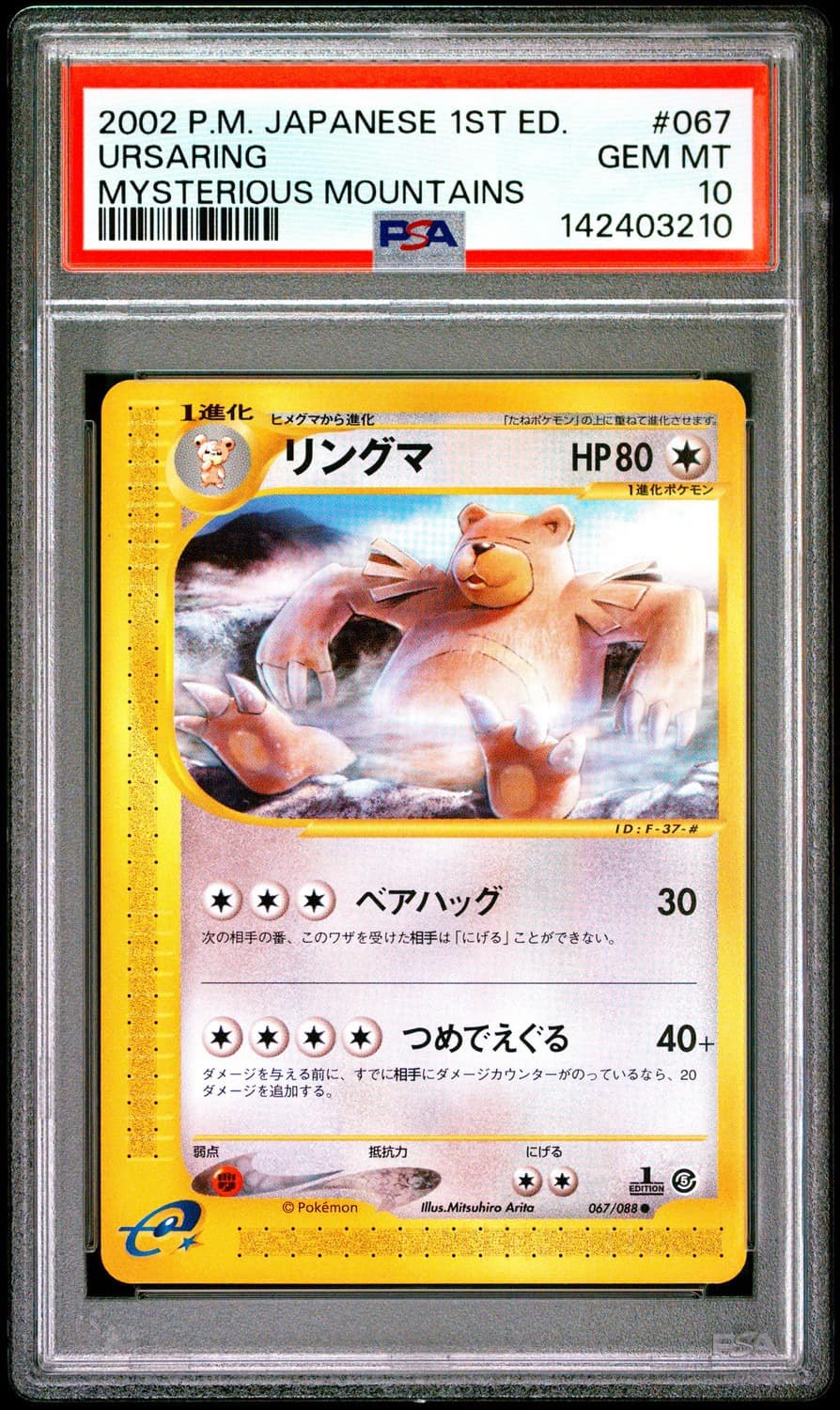 Ursaring