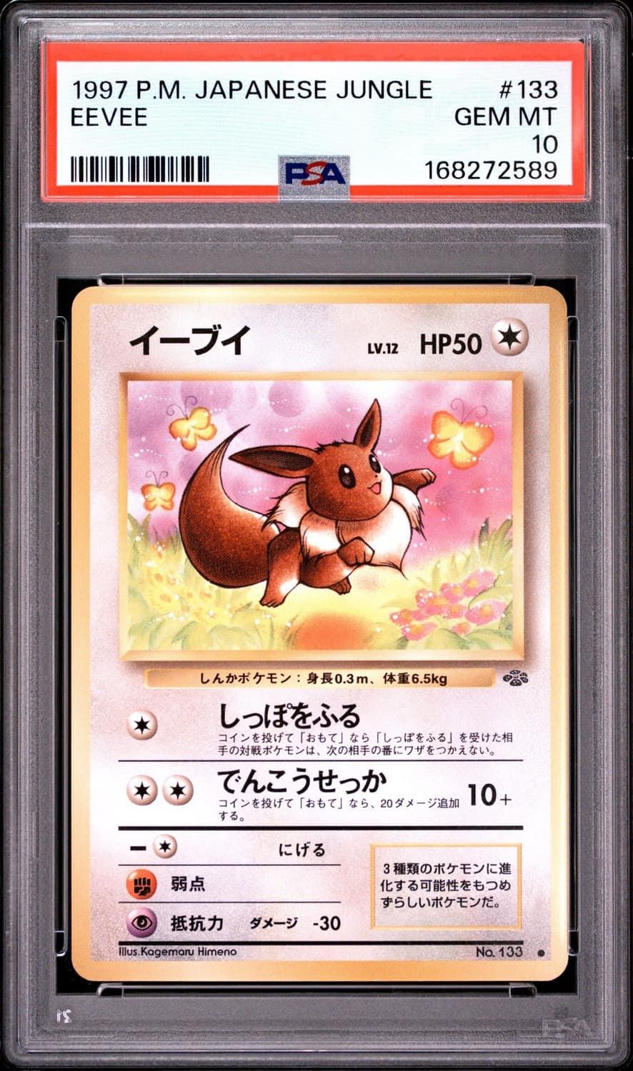 Eevee