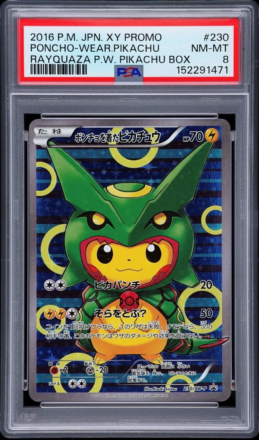 Poncho-Wearing Pikachu