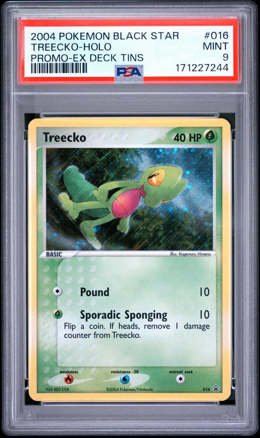 Treecko