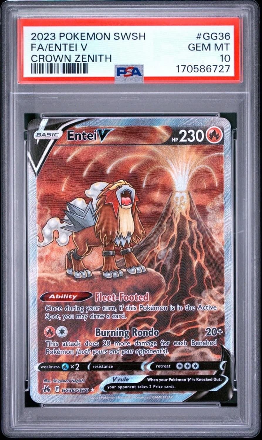 Entei V