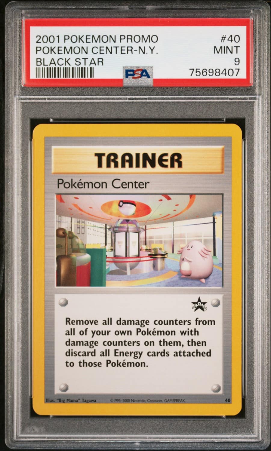 Pokemon Center Pokemon