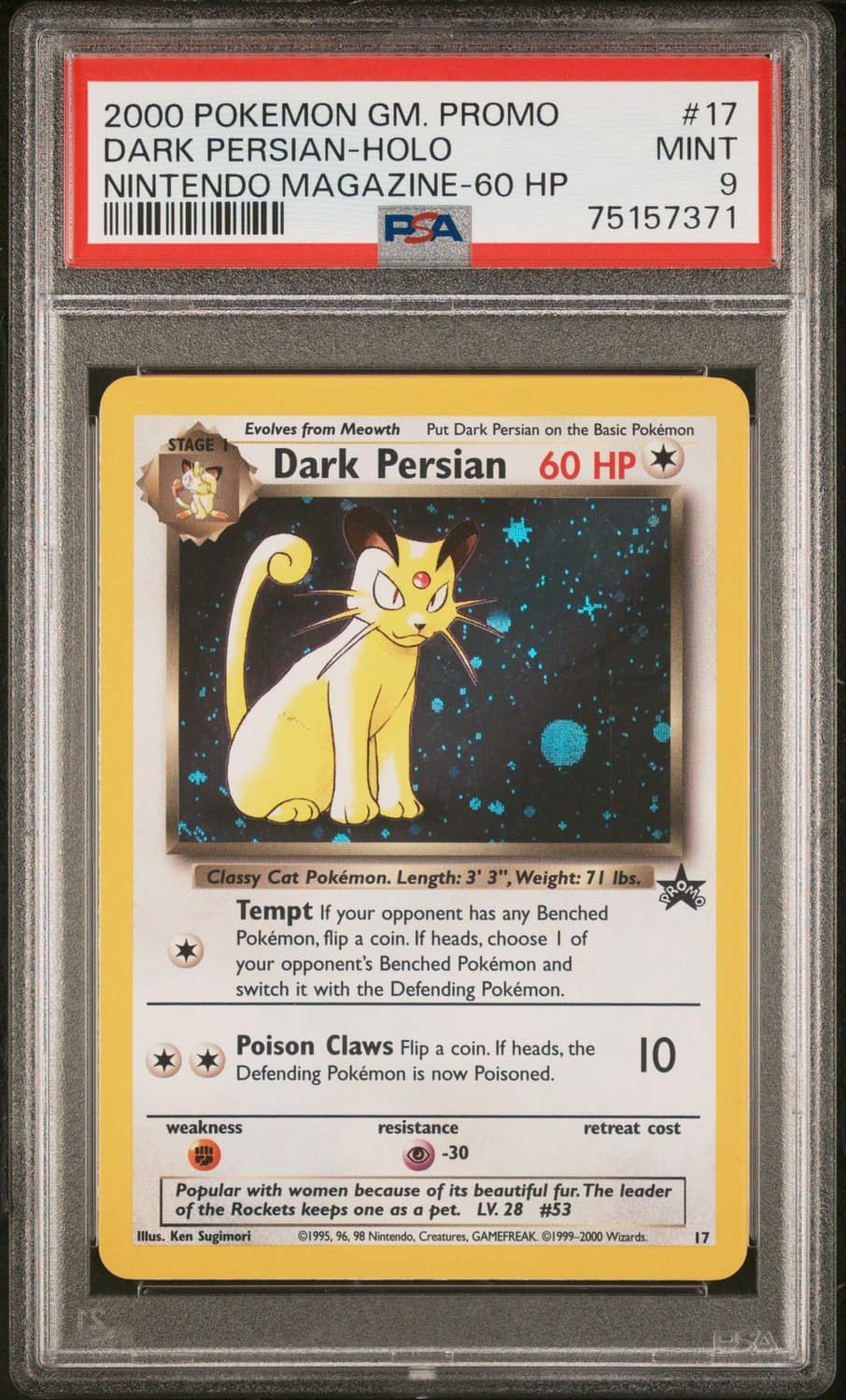 Dark Persian