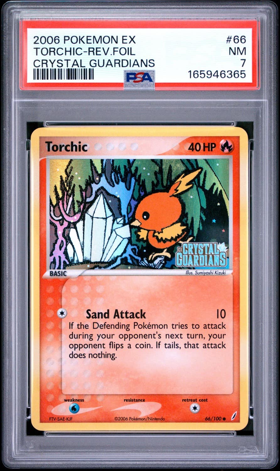 Torchic