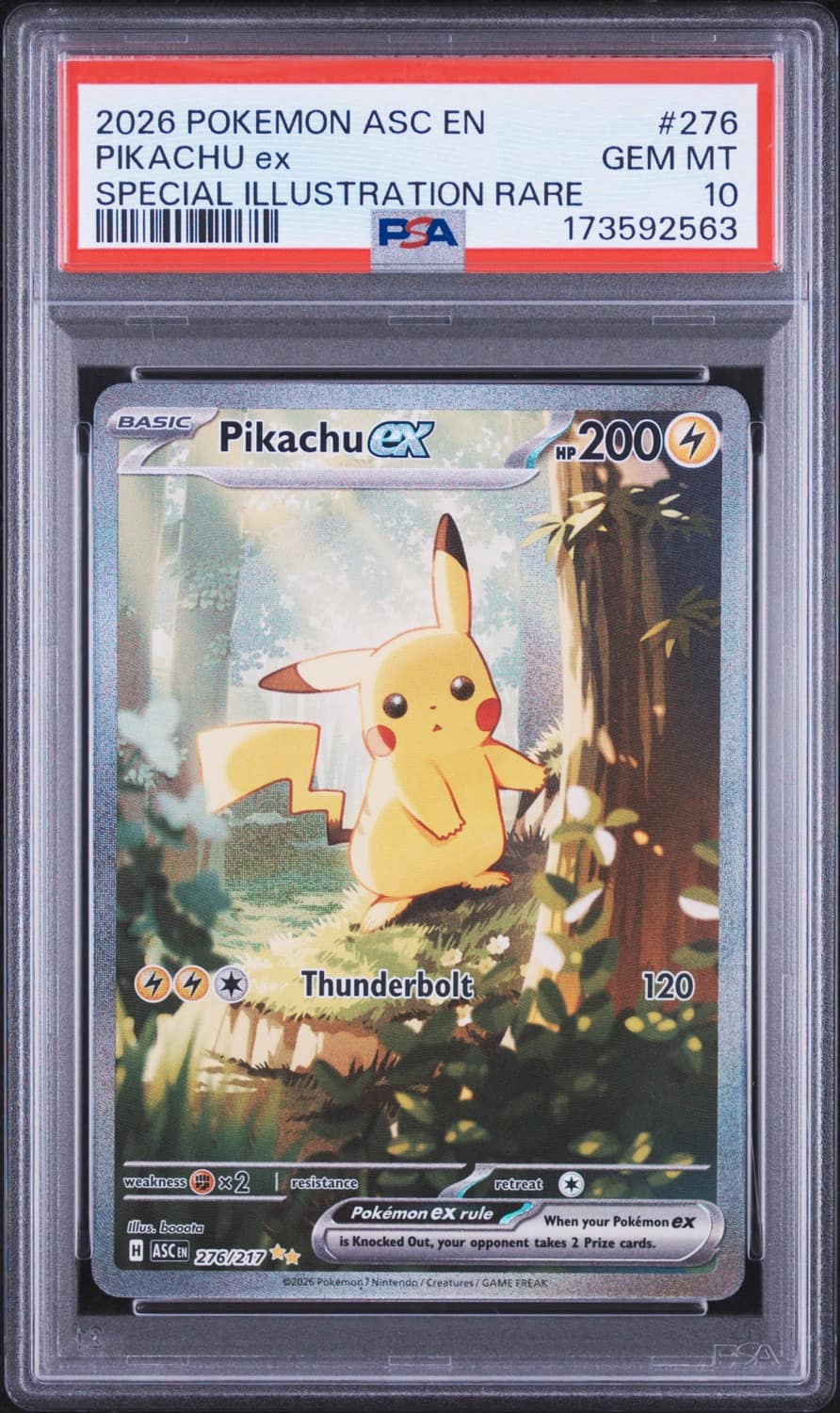Pikachu Ex