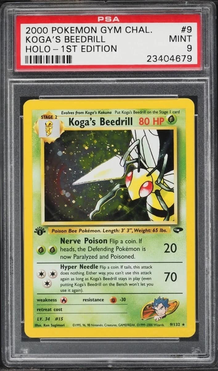 Koga'S Beedrill