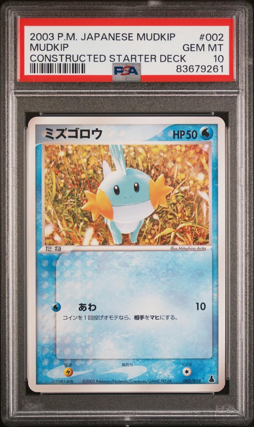 Mudkip