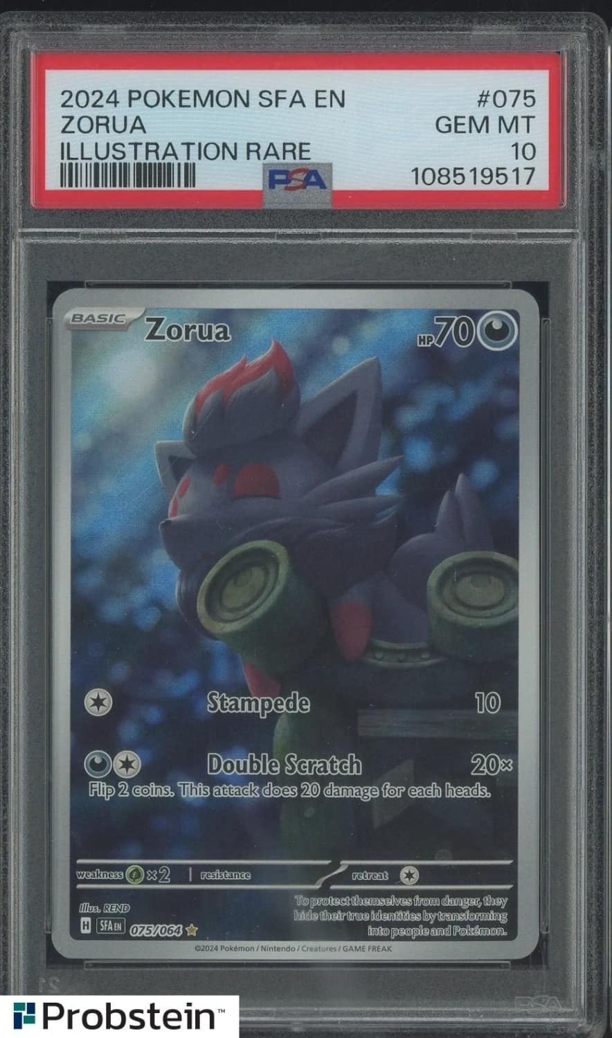 Zorua
