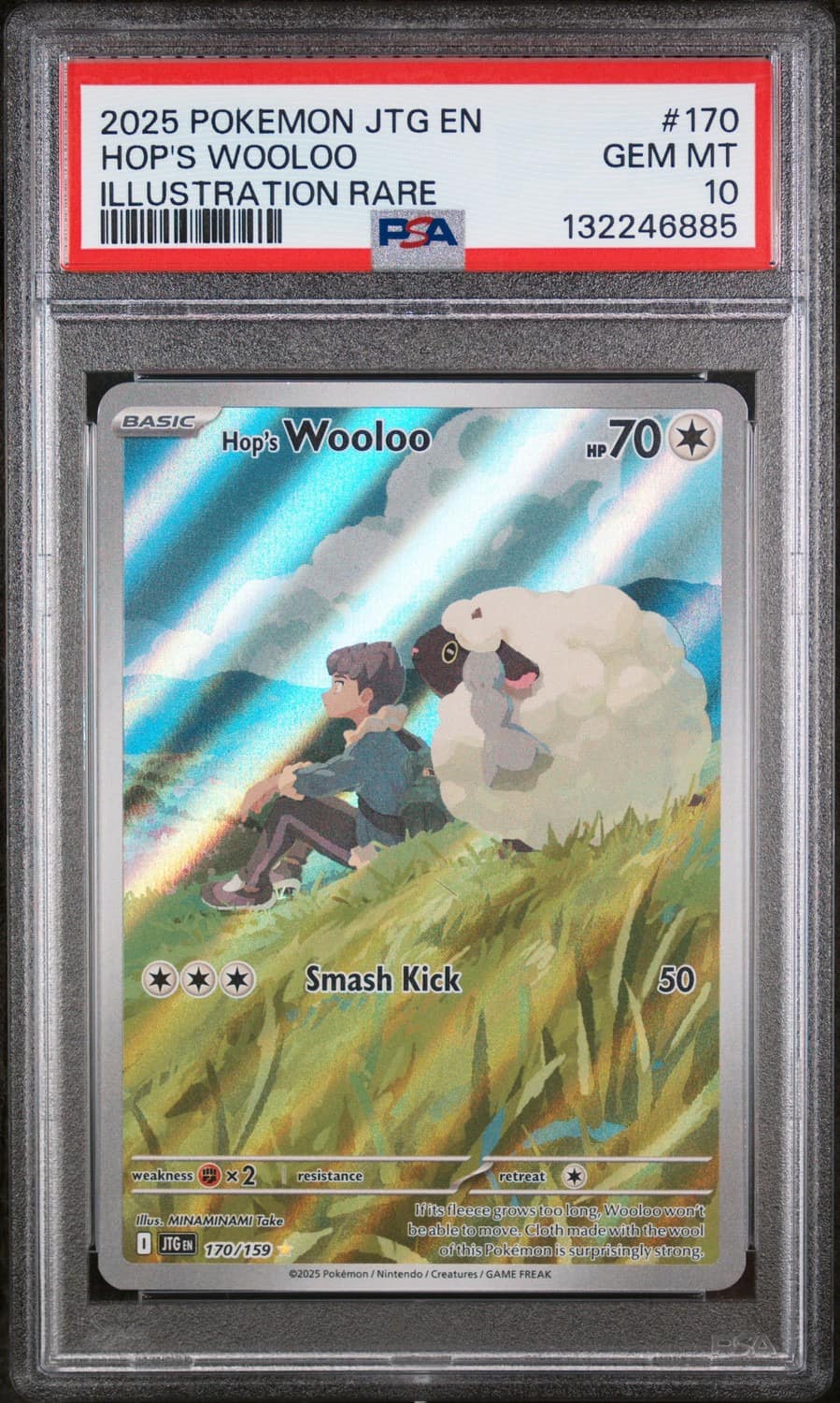 Hop'S Wooloo